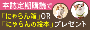 杮帍掕婜峸撉偱偵傖傜傫敔僾儗僛儞僩