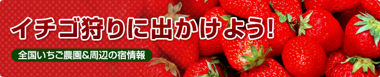 C`Sɏo悤IS_ӂ̏h