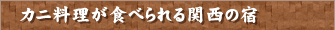 JjHׂ֐̏h