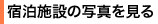 h{݂̎ʐ^