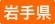 茧