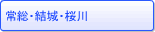 푍EE