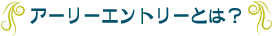 A[[Gg[Ƃ́H